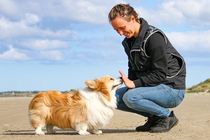 Sabrina træner hund på stranden med positive metoder