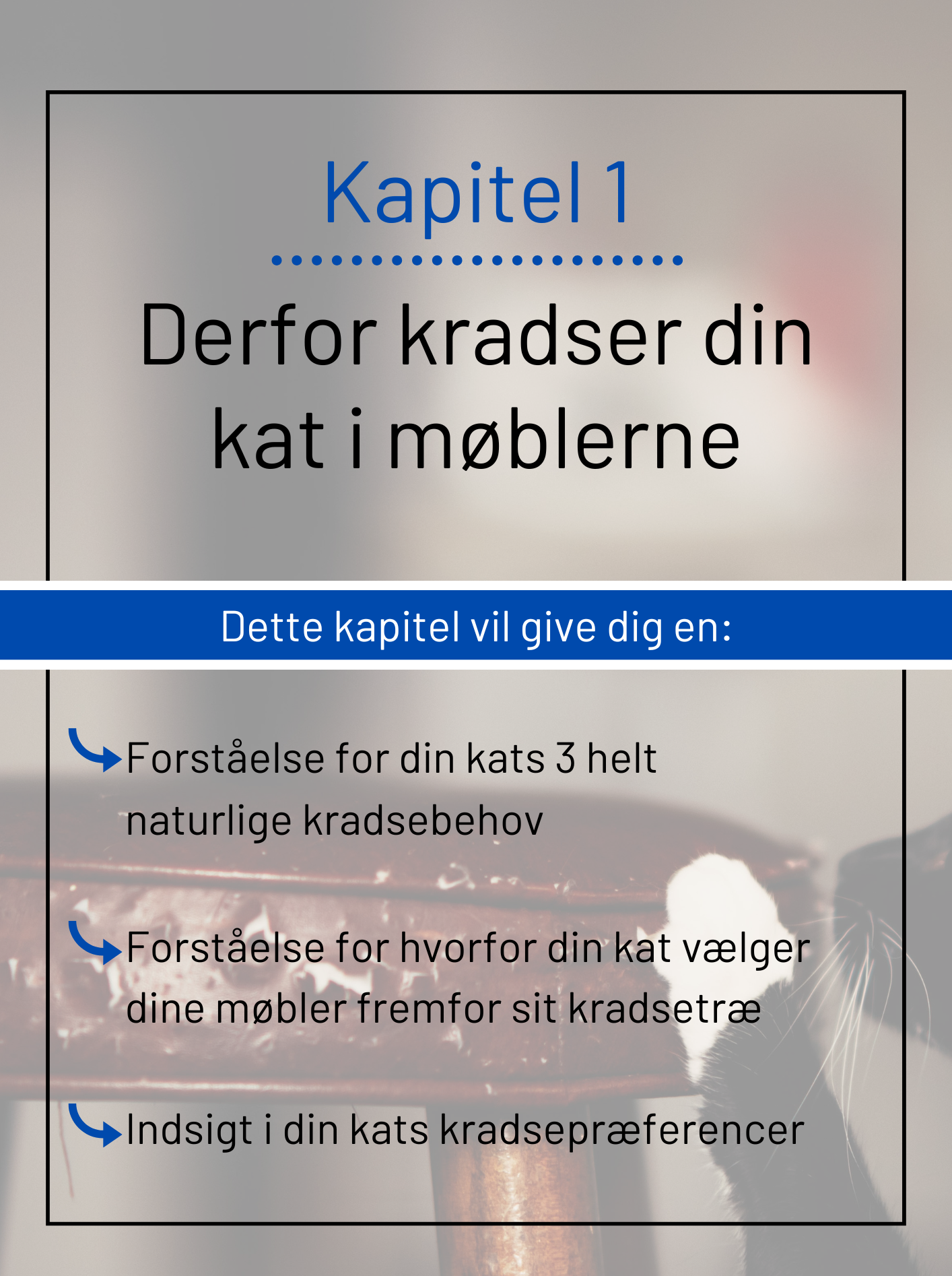 Kapitel 1 om kattens kradsebehov og præferencer
