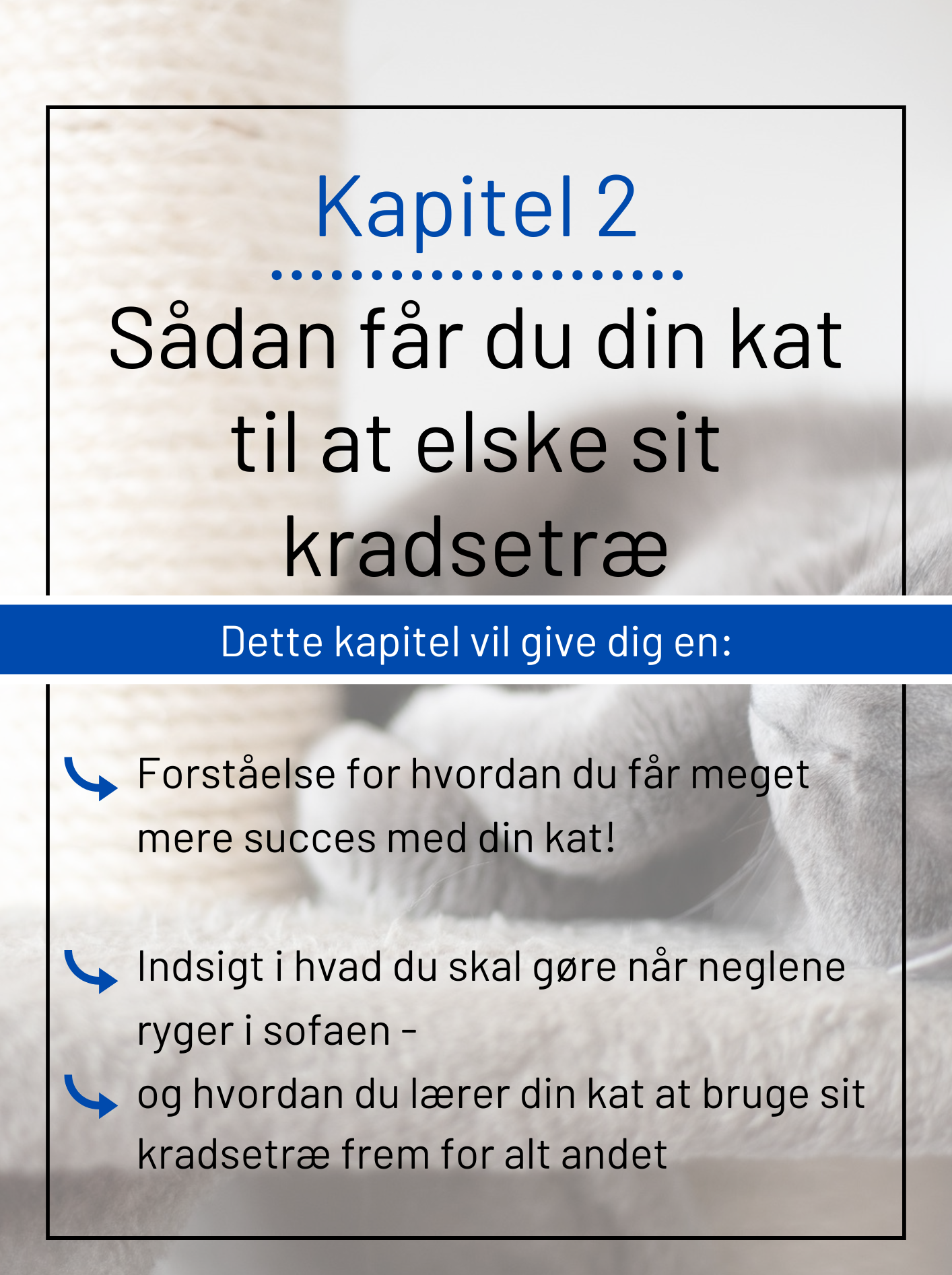 Kapitel 2 om at gøre kradsetræet attraktivt