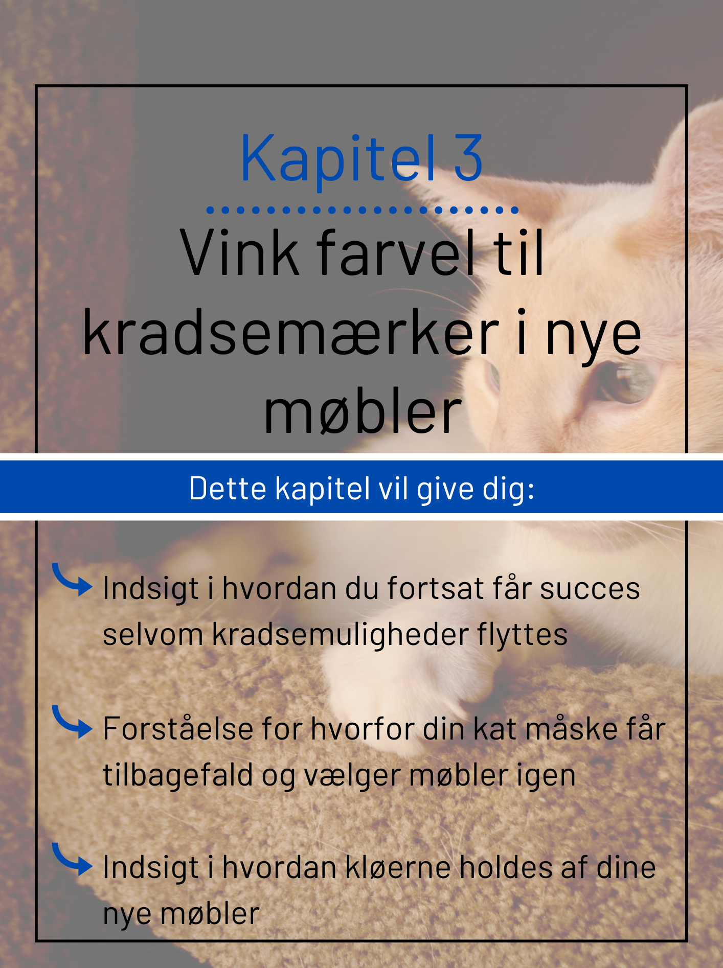 Kapitel 3 om at holde kløerne fra møblerne