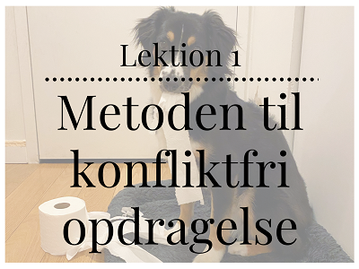 Lektion 1 om metoden til konfliktfri opdragelse