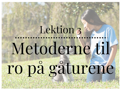 Lektion 3 om metoderne til ro på gåturene