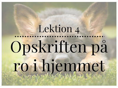 Lektion 4 om opskriften på ro i hjemmet
