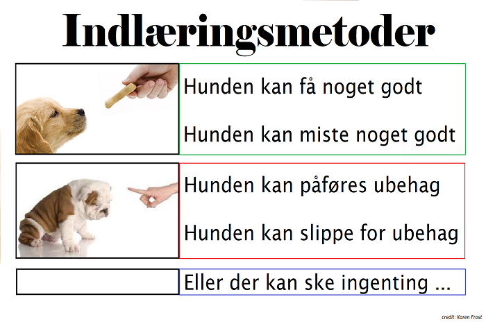 Diagram over forskellige indlæringsmetoder til hundetræning