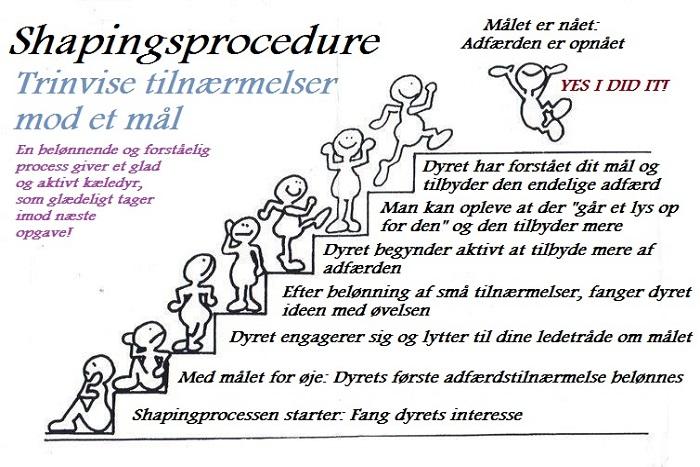 Illustration af shaping metoden som trappe til at forme adfærd
